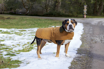 $45 - Carhartt® Dog Coat