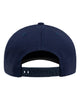 Flexfit NU Snapback