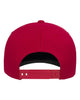 Flexfit NU Snapback