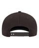 Flexfit NU Snapback