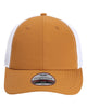 Buckthorn Brown / White X210SM