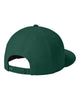 New Era NE404 diamond era flat bill snapback hat in Flag Dark Green with custom laser engraved Hermann Oak leather patch, back view
