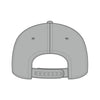OTTO CAP 31-069 5 panel mid profile cap in gray, back view